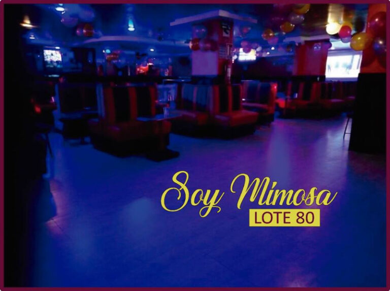 284 lote 80 Soy mimosa night club norte de quito 768x573